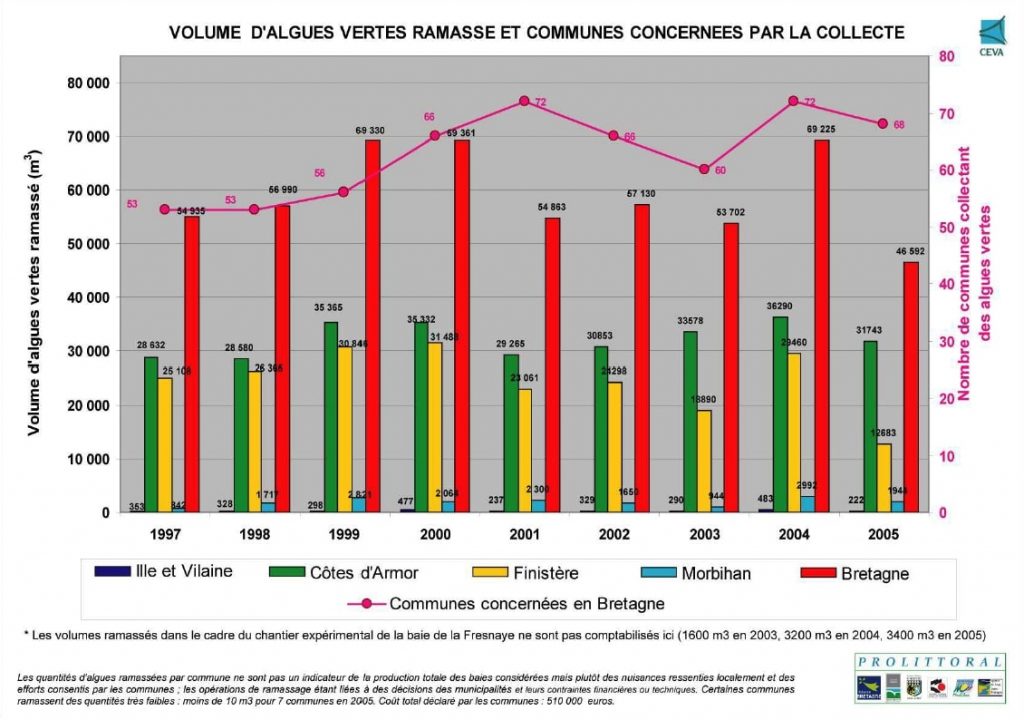 algues-vertes-ramasse