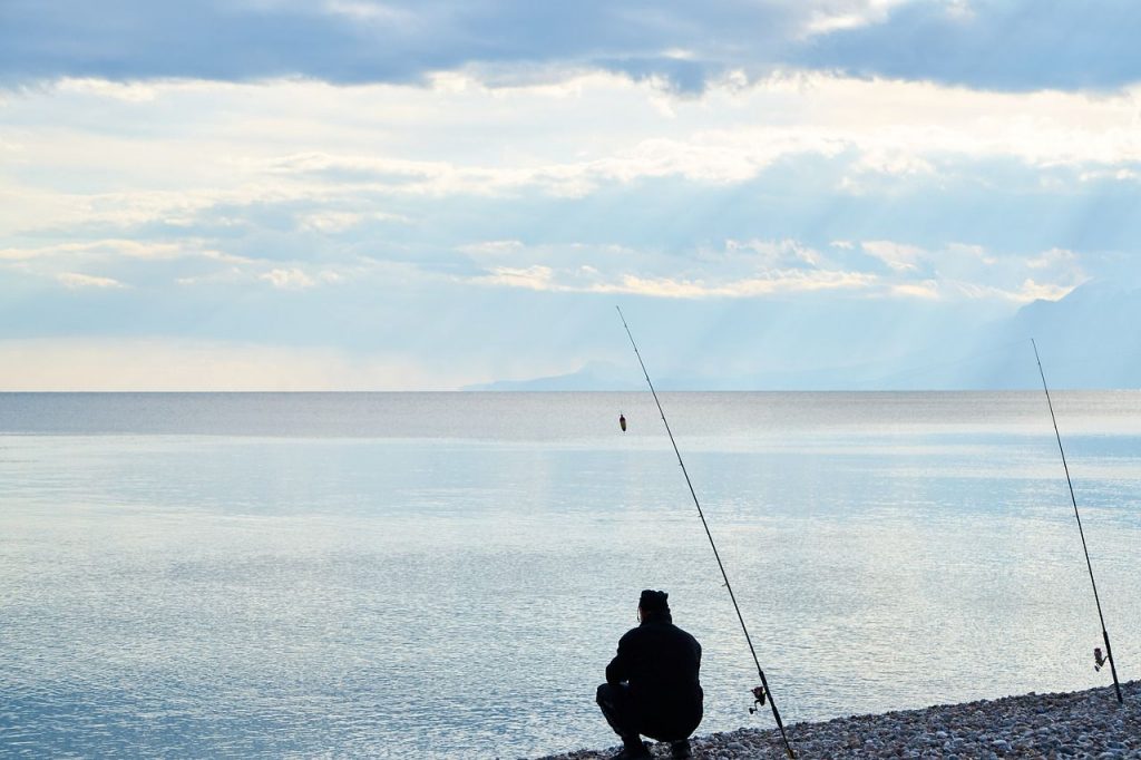 acheter-canne-peche